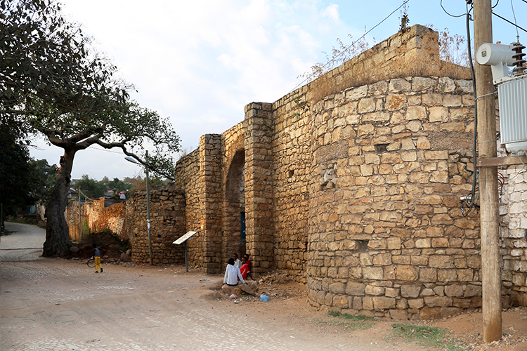 4 Days East Ethiopia Tours Awash & Harar